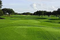 Lush green golf course with trees, sand traps, and a clear sky, part of Orange County National's Crooked Cat course in Orlando.