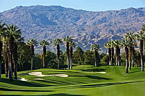 Golf course at JW Marriott Desert Springs with lush green fairways, palm trees, sand bunkers, and mountain backdrop in Palm Desert.