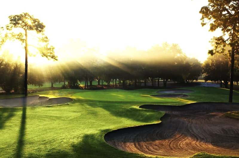 Innisbrook Golf Club - Copperhead Course "Full Swing"