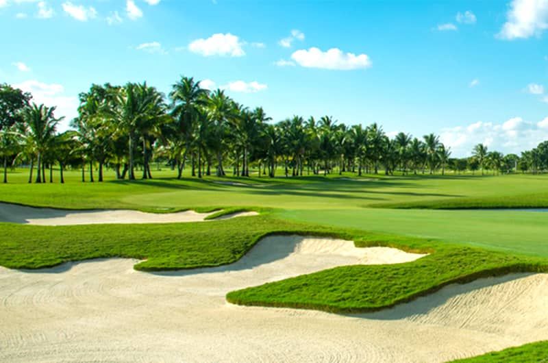 Trump National Doral Blue Monster Champions