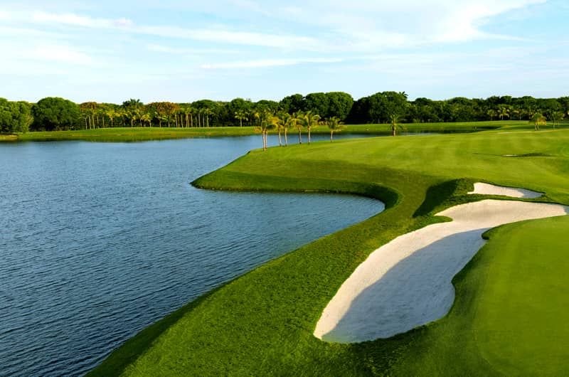Trump National Doral Golden Palm Champions