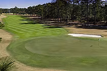 A scenic golf course with lush green fairways, a sand bunker, and a flag on the putting green, surrounded by tall trees.