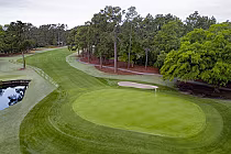A scenic golf course with a green, sand bunker, water hazard, and tall trees, showcasing a classic, tranquil design.