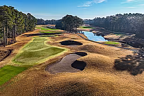Aerial view of Wild Wing Avocet golf course in Myrtle Beach, featuring lush greens, sand bunkers, water hazards, and surrounding trees.