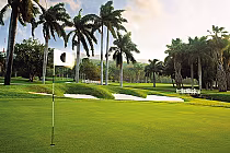 A lush golf course with a green, sand bunkers, tall palm trees, and a flagstick on the putting green, designed by Robert Trent Jones Sr.