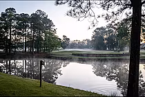 Serene early morning view of a golf course with a pond, surrounded by tall trees and mist, at Meadowlands Golf Club on the NC & SC border.