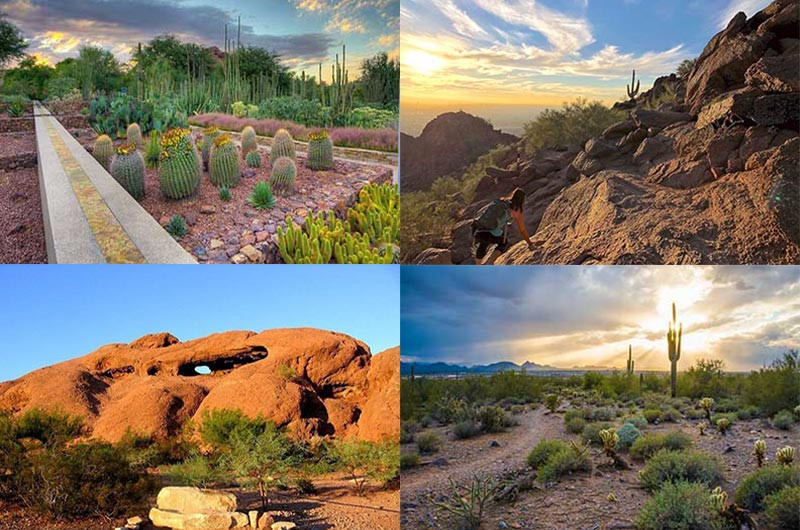 Hiking & Outdoors