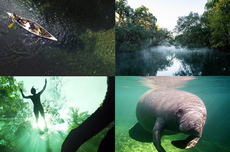 EcoTourism
