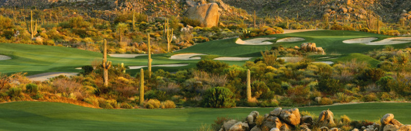 Scenic Arizona golf course with lush green fairways, desert plants, cacti, and rocky terrain under warm sunlight.