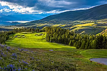 Scenic golf course with lush green fairways, surrounded by trees and mountains under a partly cloudy sky in Colorado.