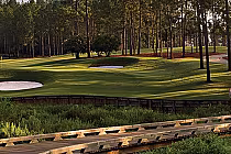A scenic golf course with lush green fairways, sand bunkers, surrounded by tall trees, under warm sunlight.