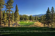 Golf course fairway with sand traps surrounded by tall pine trees and mountain views at Gray's Crossing, Tahoe.