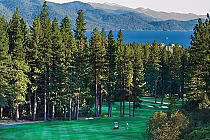Scenic golf course with lush green fairways, tall pine trees, and a view of Lake Tahoe and mountains in the background.