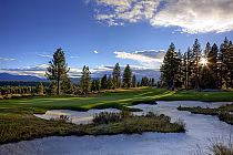 Scenic view of Old Greenwood Golf Course at Tahoe Mountain Club with lush green fairways, sand bunkers, tall pine trees, and mountain backdrop.