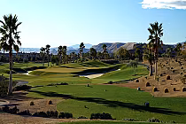 Scenic view of Arroyo Golf Club, an Arnold Palmer-designed golf course in Las Vegas, featuring lush green fairways, palm trees, and desert landscape.