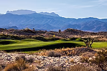 Snow Mountain golf course at Paiute Resort with lush green fairways, desert landscape, and mountain backdrop in Nevada.