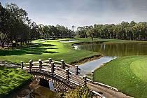 Scenic view of Innisbrook's Copperhead Course with a stone bridge, lush green fairways, water hazards, and trees in Tampa, Florida.